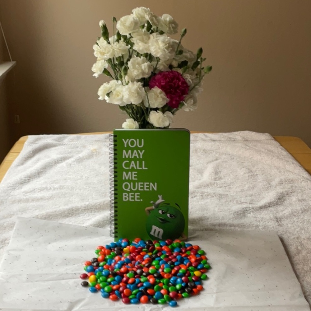 📗💙 M&M’S NOTEBOOK 📗💙 - Picture 6 of 16